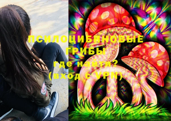гашик Алзамай
